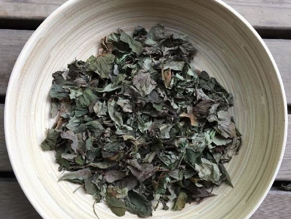 ドクダミ　お皿　収穫した葉