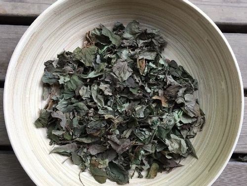 ドクダミの育て方 増やし方には注意が必要 冬越しの対策は Greensnap グリーンスナップ