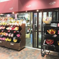 先着15,000名様に、アース製薬様の「アースガーデン 土にまくだけ害虫退治オールスター 」の試供品を配布中！の画像
