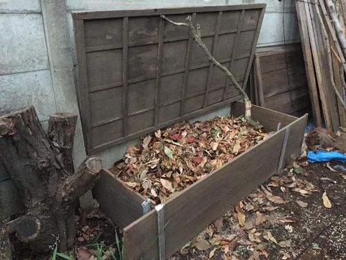 サラサドウダンの育て方 植え付け場所や水やり頻度は 剪定は必要 Greensnap グリーンスナップ サラサドウダンの育て方 植え付け場所や水やり頻度は 剪定は必要 Greensnap グリーンスナップ