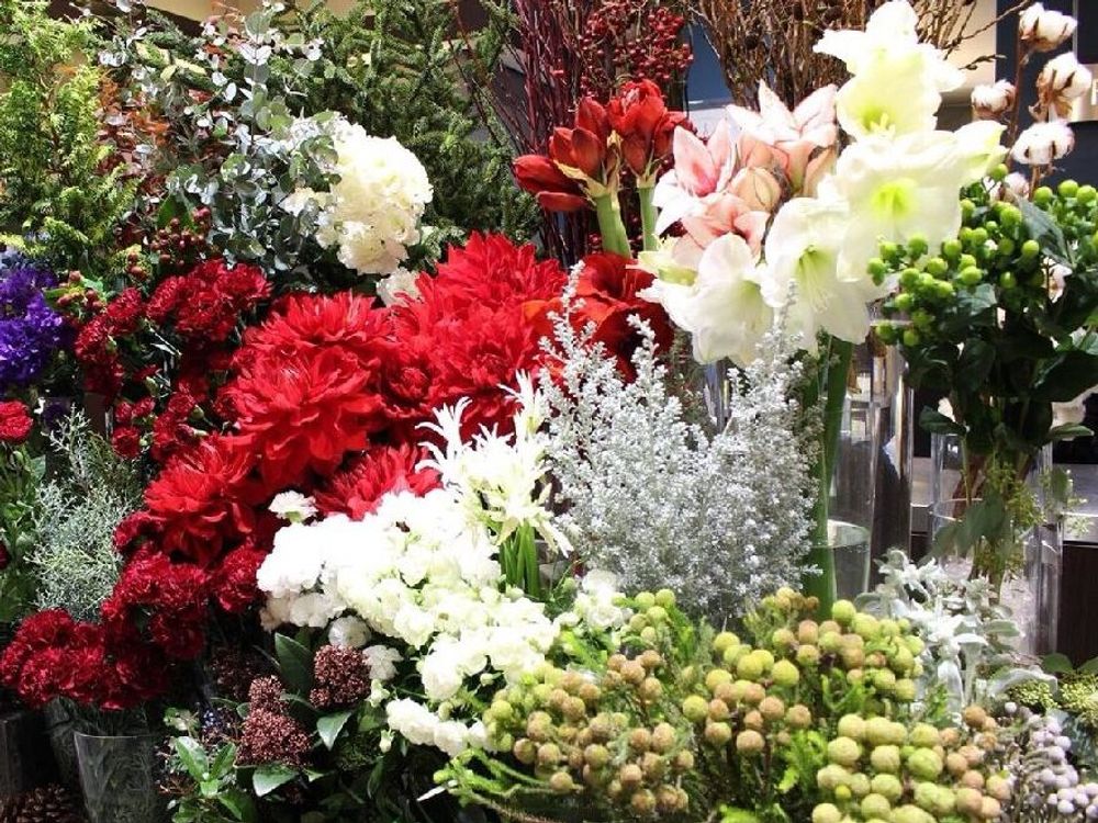 ドイツトウヒ　白い花　赤い花