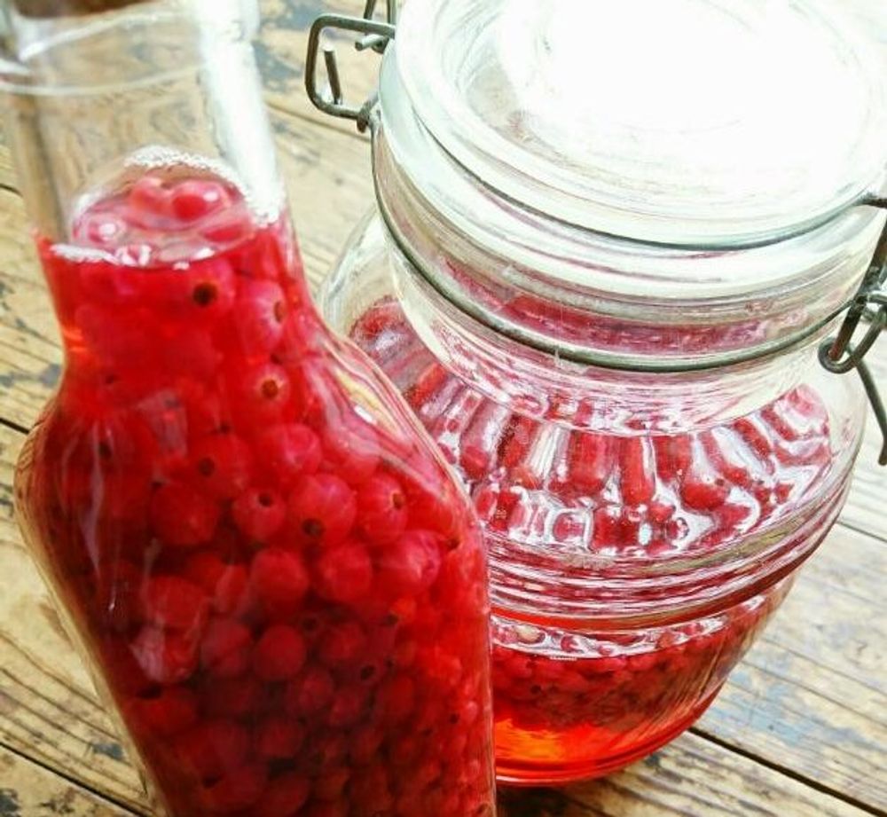 フサスグリ　Photo by SAkUTOMOさん