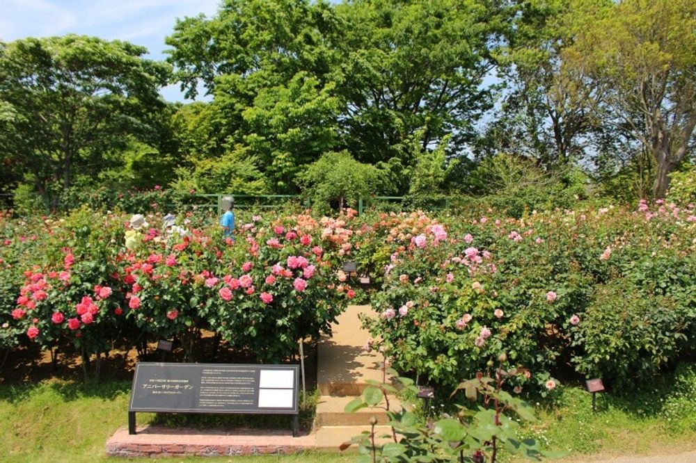 京成バラ園