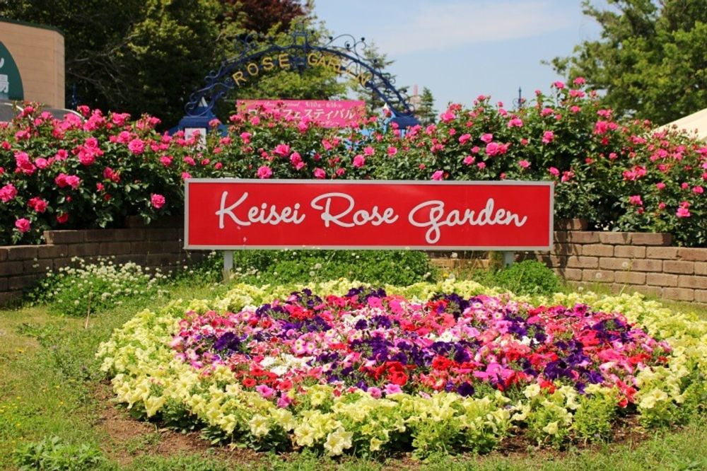 京成バラ園