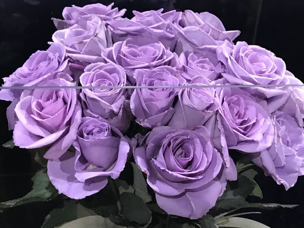 最も欲しかった 紫色 薔薇 花 言葉 誕生 日 ライン 友達