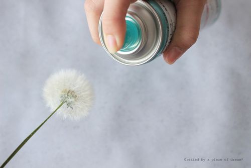 簡単diy Vol たんぽぽの綿毛のドライフラワー 雑貨の作り方 Greensnap グリーンスナップ