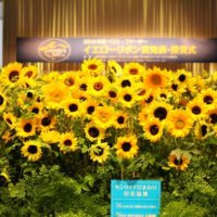 【会場に潜入】2019年度ベスト•ファーザー「イエローリボン賞」授賞式の豪華な花装飾が圧巻すぎる！の画像