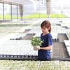 【オリジナルペチュニア名付け親企画】候補10ネームが決まりました！の画像