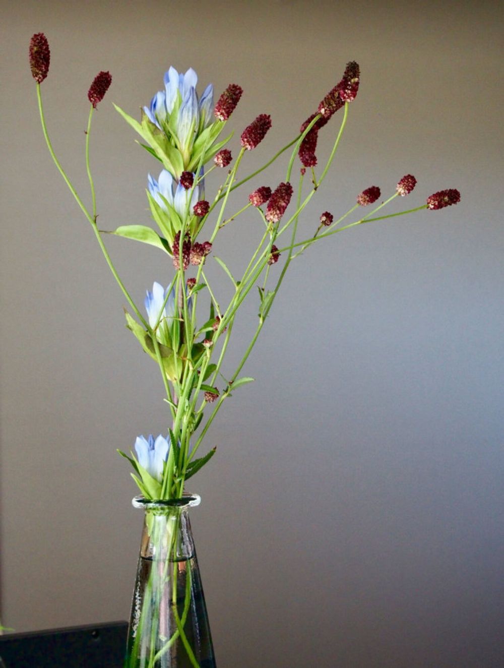 ワレモコウ　リンドウ