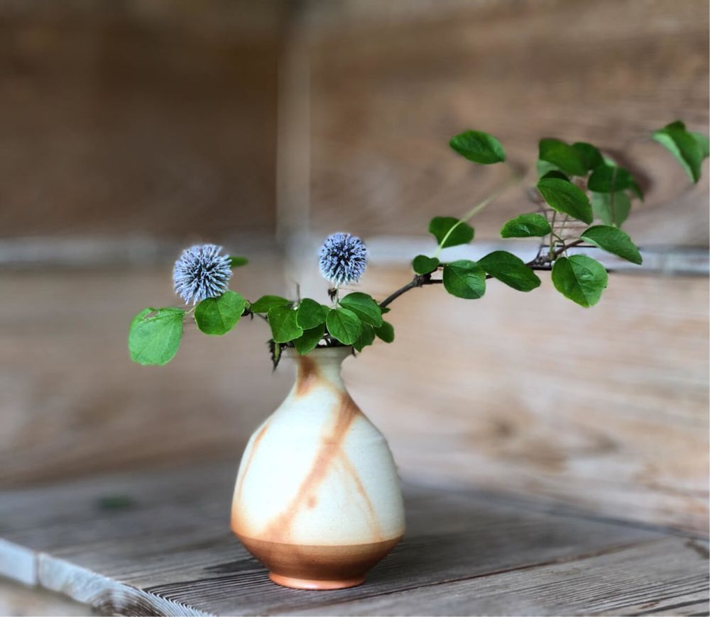 ルリタマアザミ　焼き物