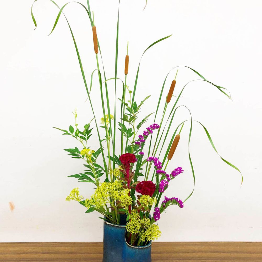 オミナエシ　女郎花　ケイトウ