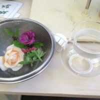今週の人気『みどりのまとめ』5選！初GS 〜この1ヶ月間の挫折と成功〜 / 北海道洞爺 ハーバルランチでハーブ体験?などの画像