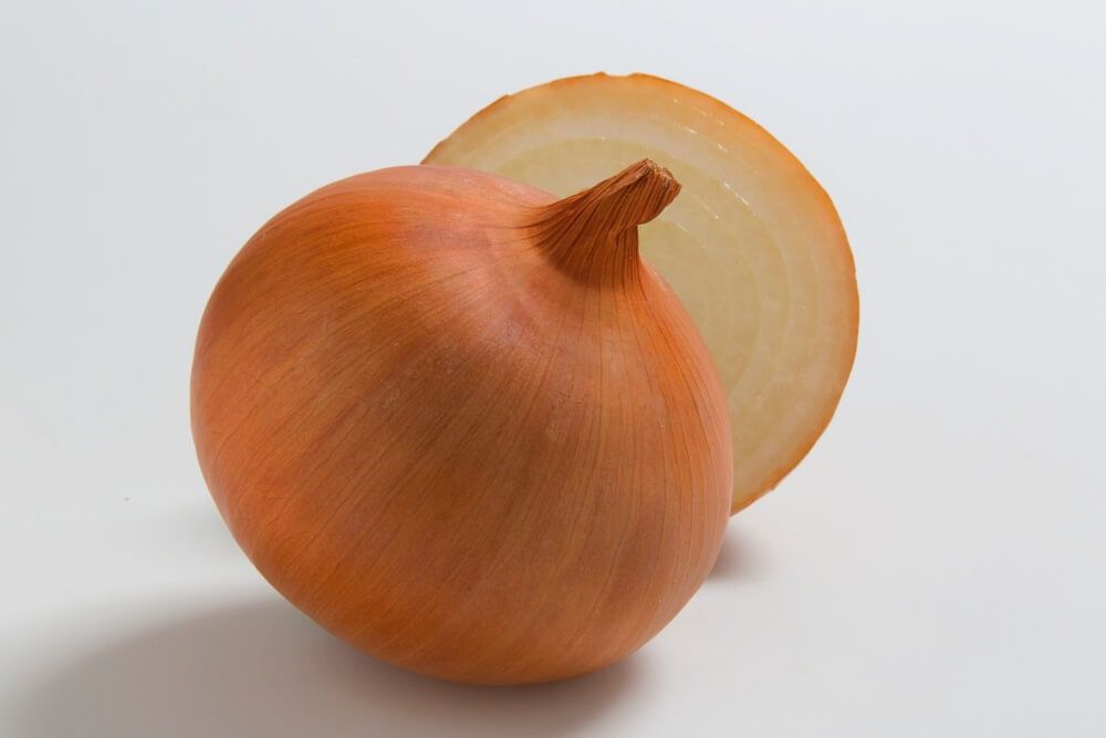 タマネギ_ケルたま