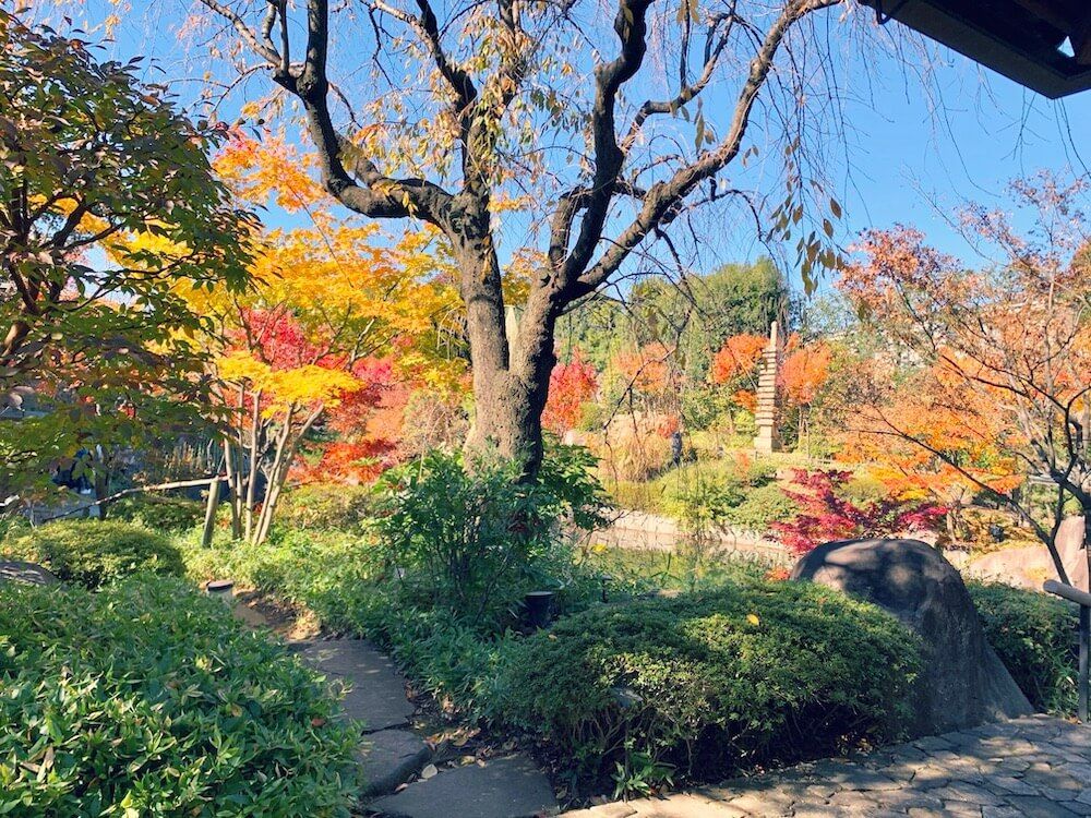 目白庭園　紅葉