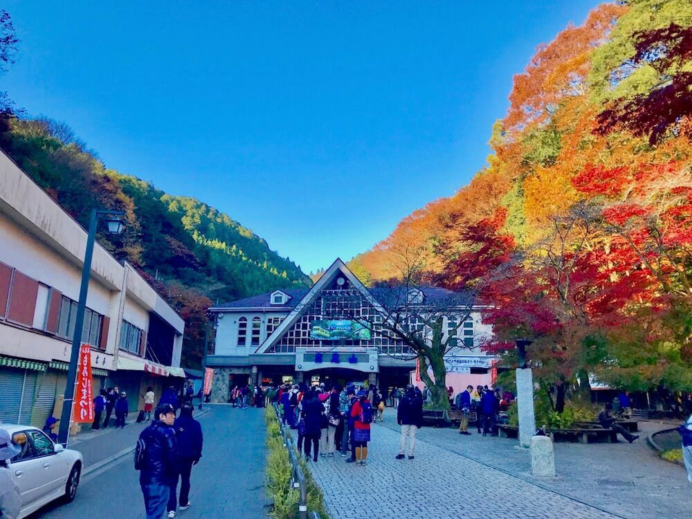 高尾山　紅葉
