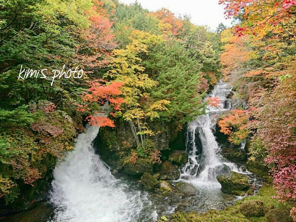 竜頭の滝　紅葉