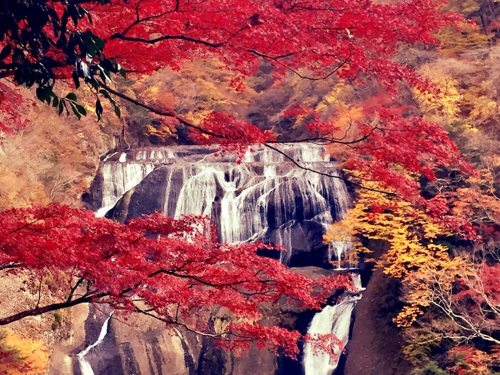 袋田の滝　紅葉