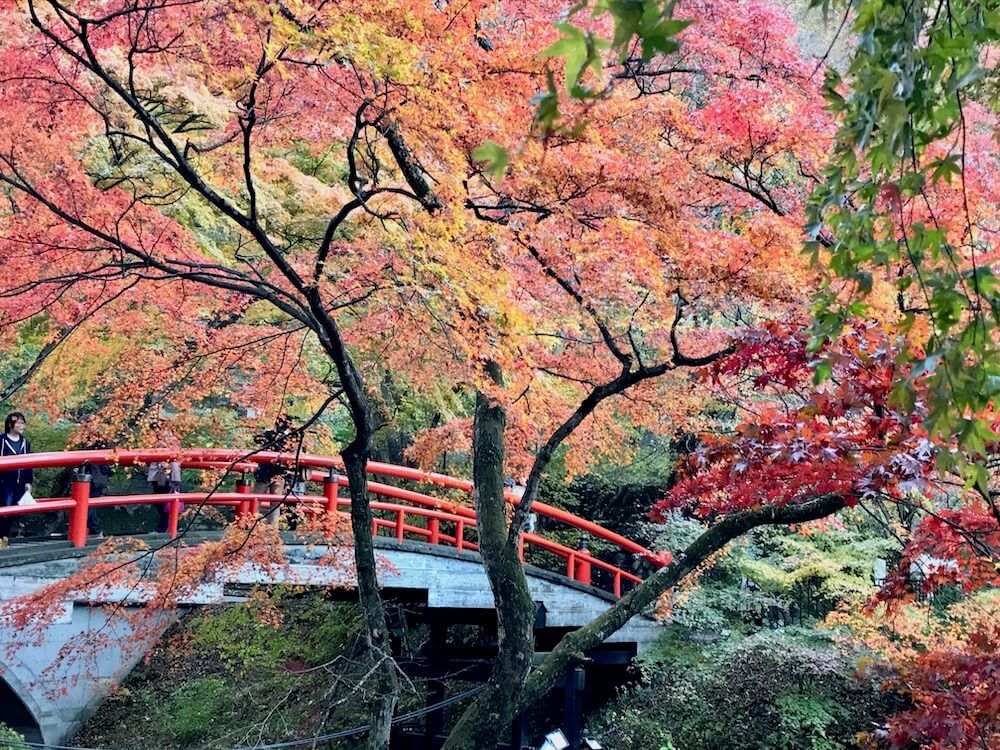伊香保温泉　紅葉