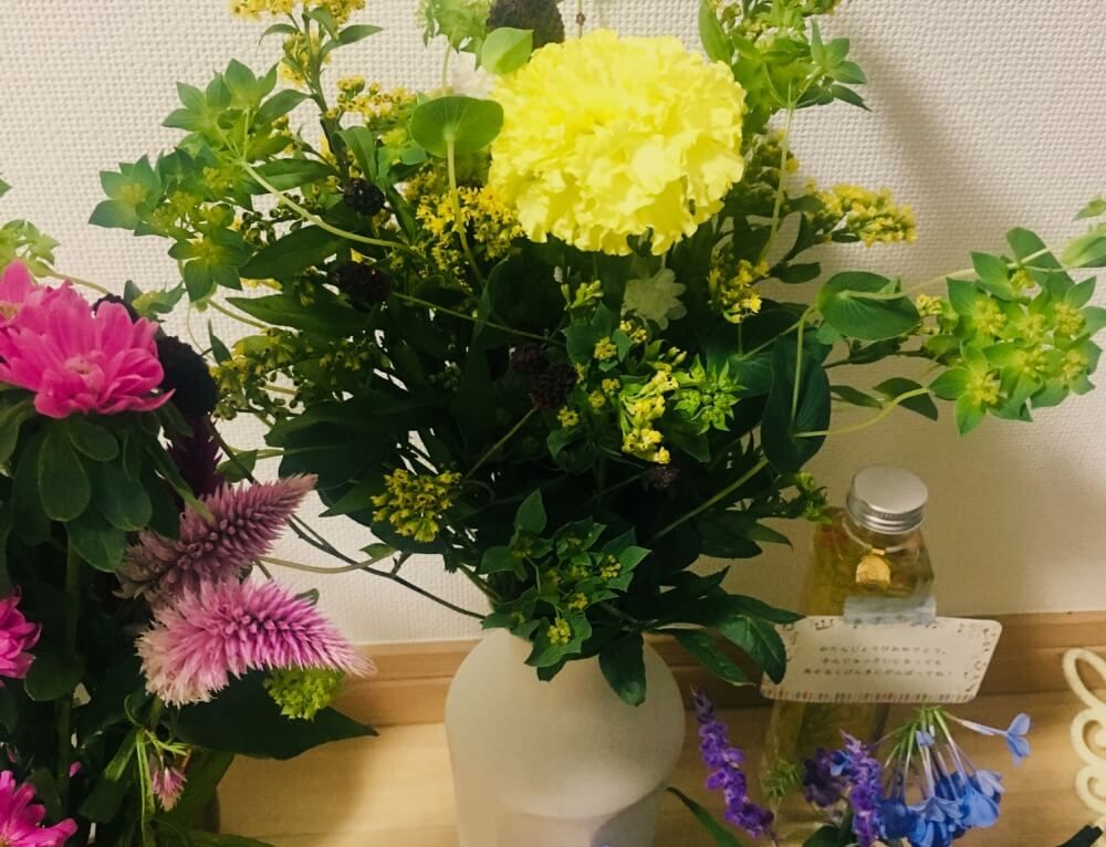 波佐見焼　鉢　花瓶　植物