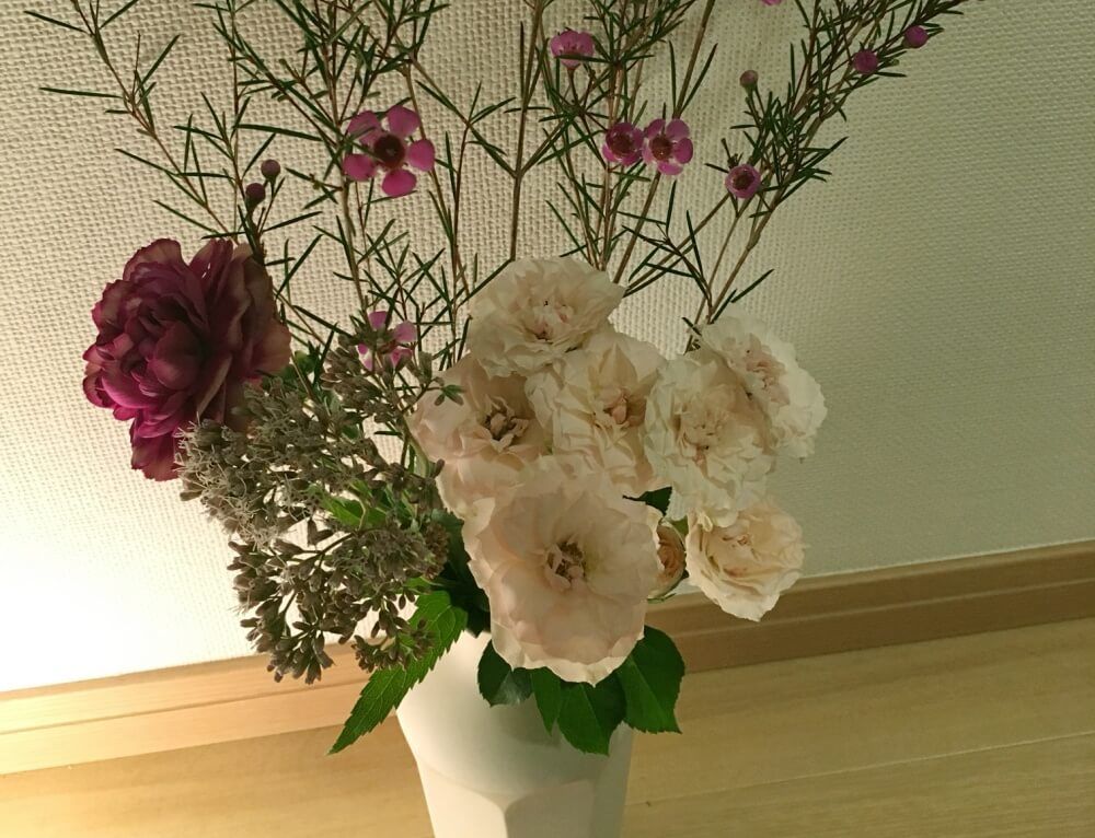 波佐見焼　鉢　花瓶　植物