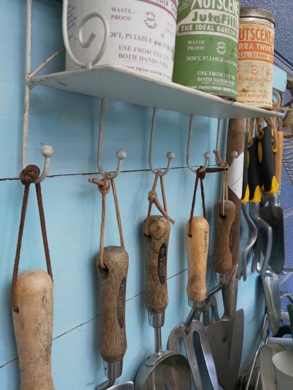 秋の園芸フォトコンテスト