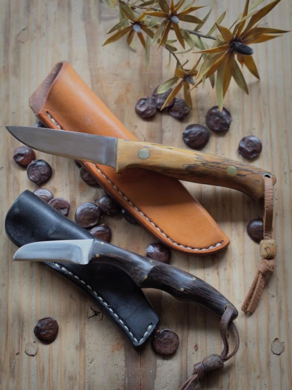 秋の園芸フォトコンテスト