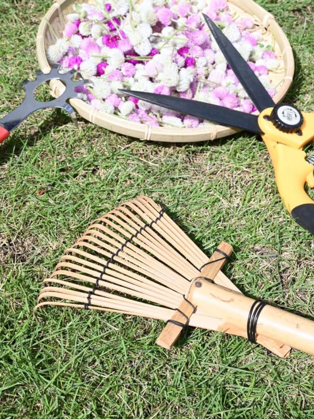 秋の園芸フォトコンテスト