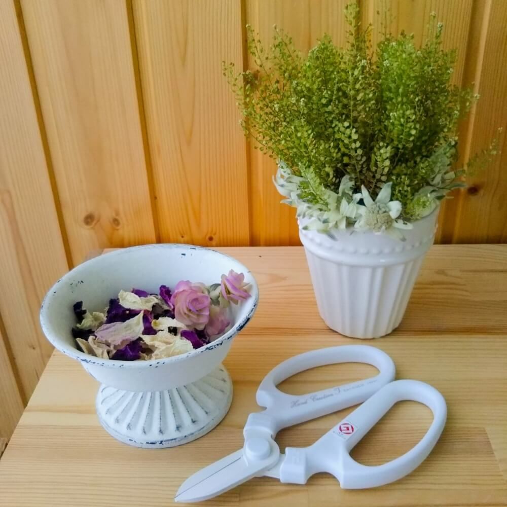 秋の園芸フォトコンテスト