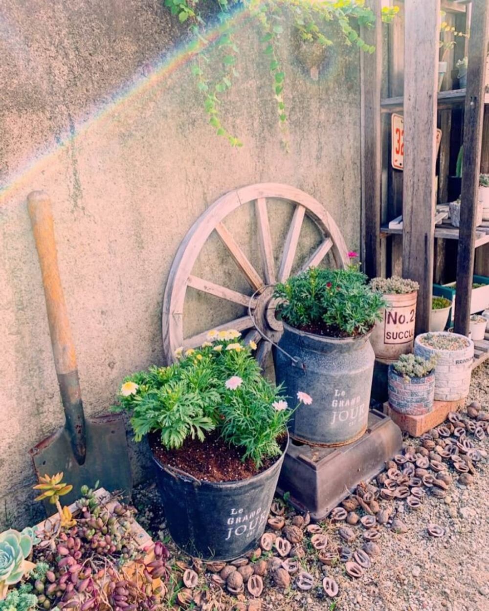 秋の園芸フォトコンテスト