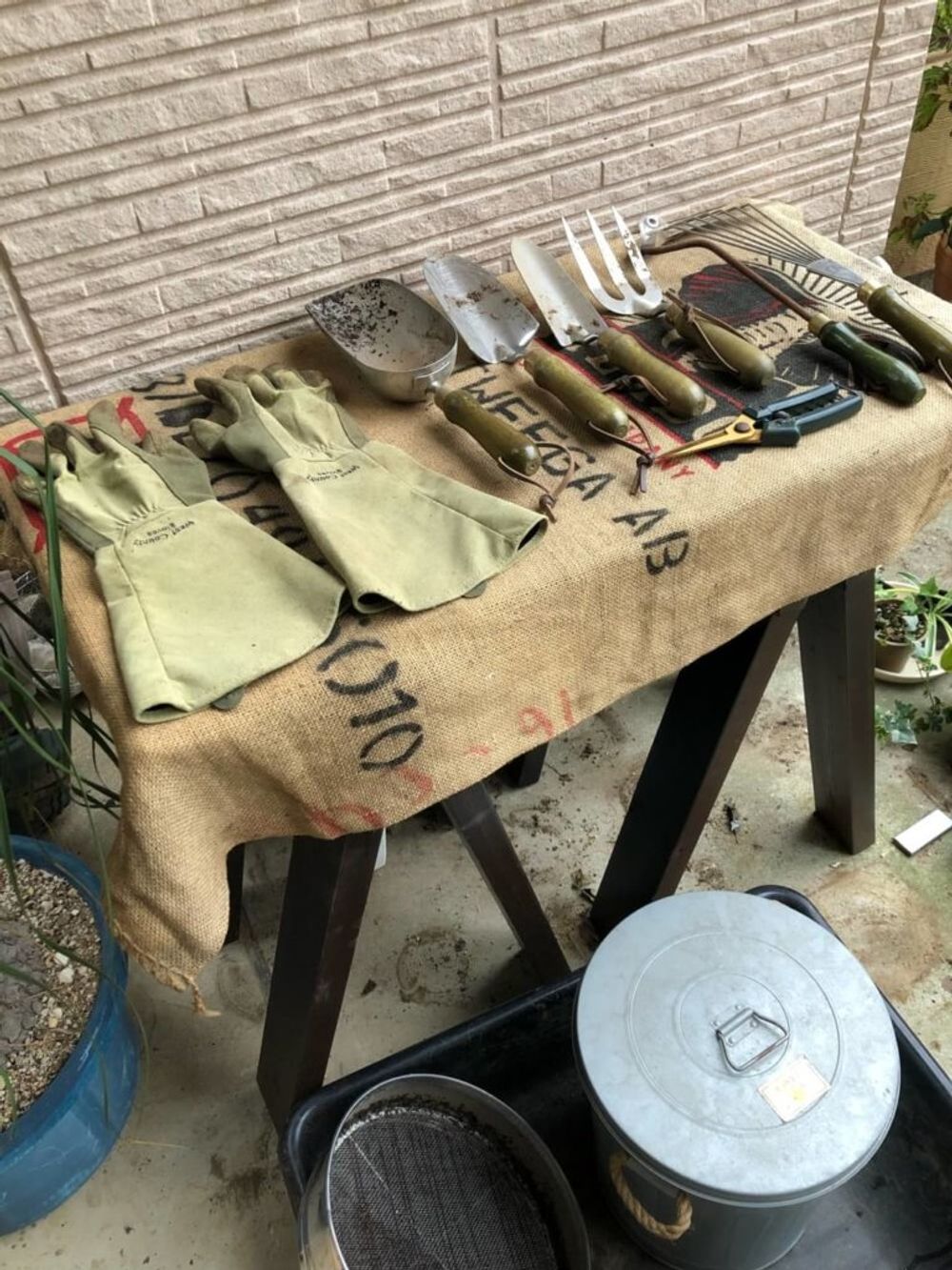 秋の園芸フォトコンテスト