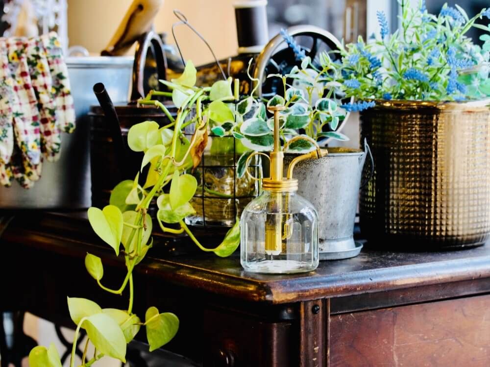 秋の園芸フォトコンテスト