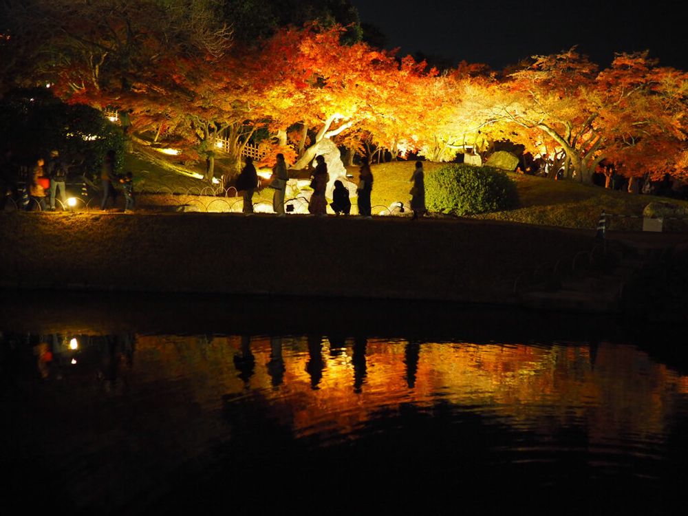 紅葉　岡山後楽園