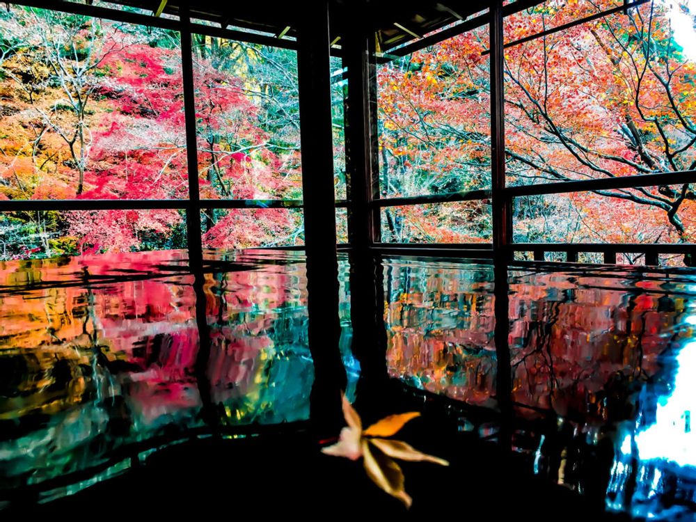 紅葉　瑠璃光院