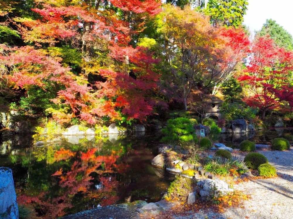 紅葉　善峯寺