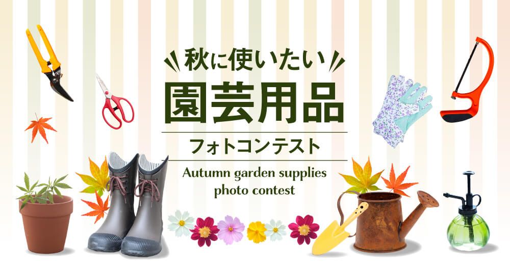 フォトコンテスト