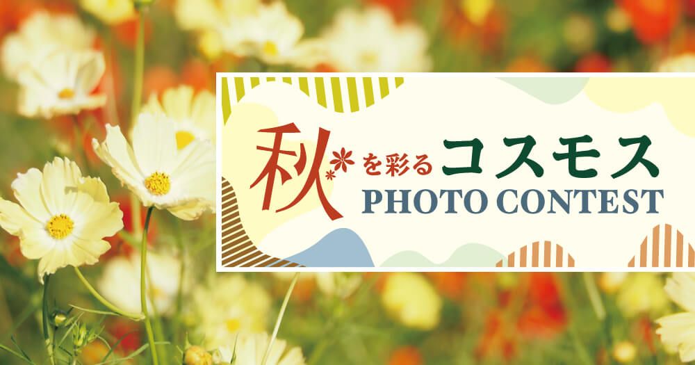 フォトコンテスト