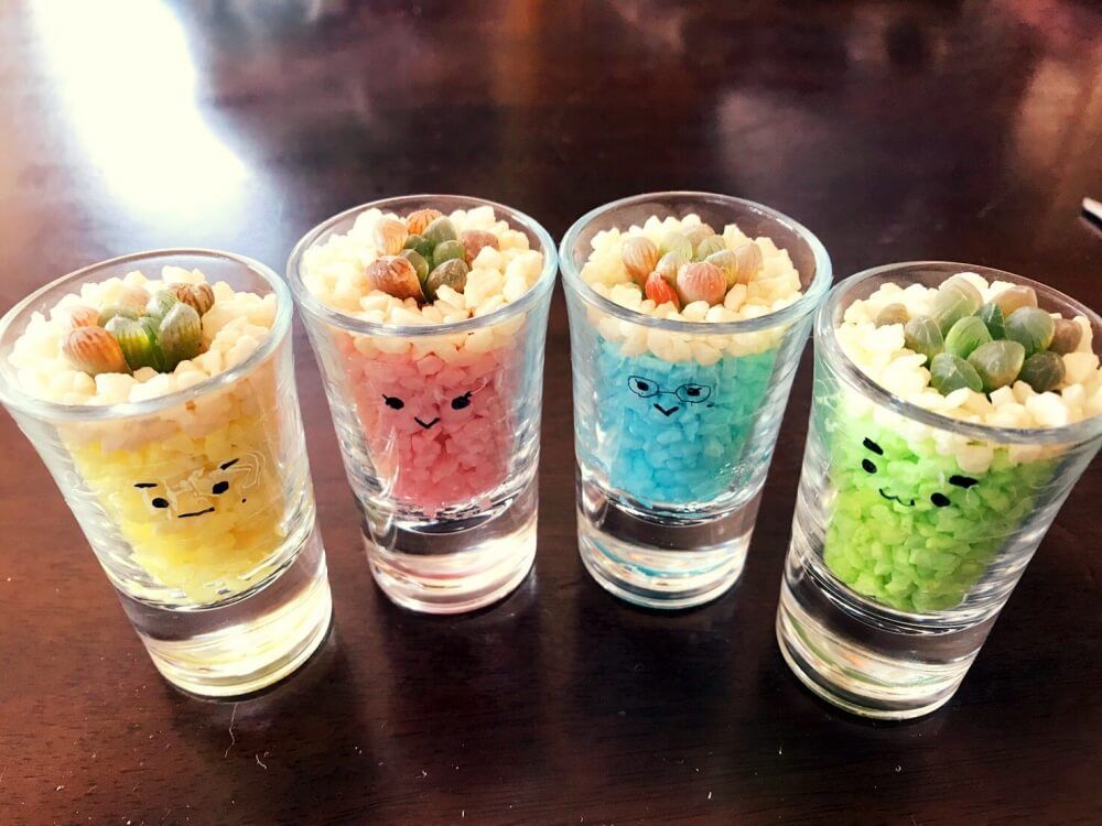 多肉植物　カラーサンドアート
