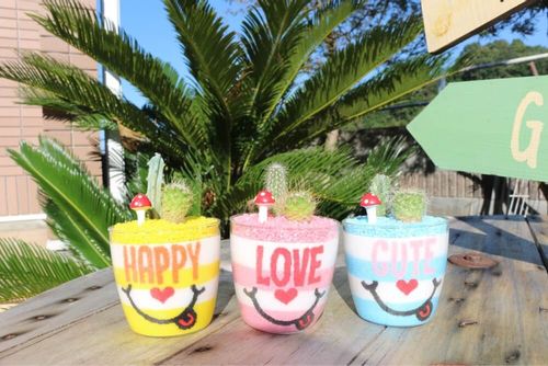 大人がハマる 多肉植物をぐっとおしゃれに見せるカラーサンドとは Greensnap グリーンスナップ