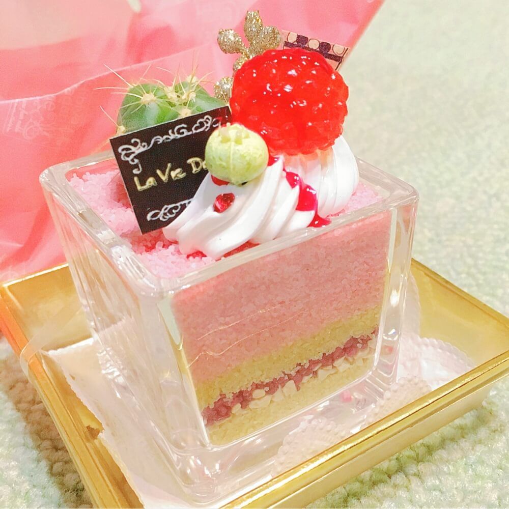 多肉植物　カラーサンドアート