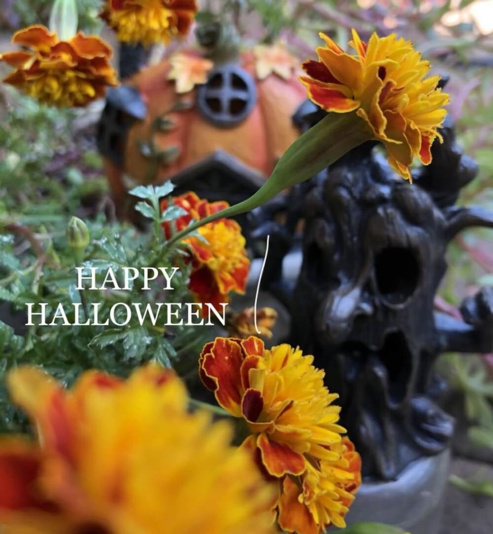 ハロウィンアレンジフォトコンテスト