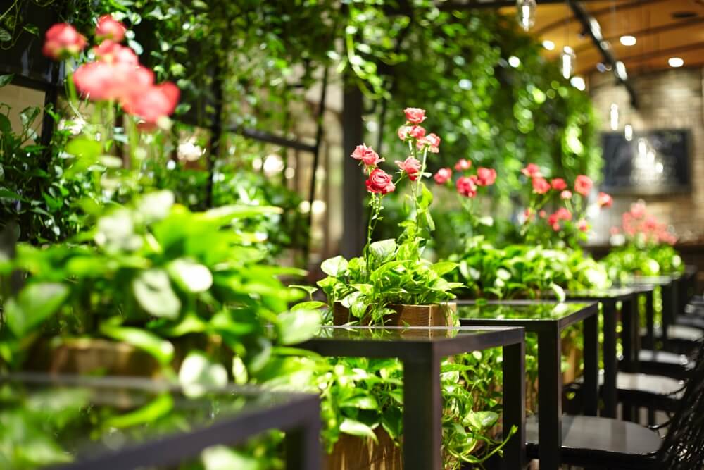 植物に癒される 東京 で人気のボタニカルカフェはどこ Greensnap グリーンスナップ