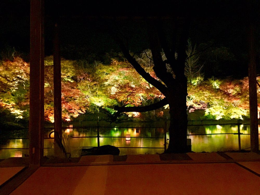 紅葉　ライトアップ　御船山