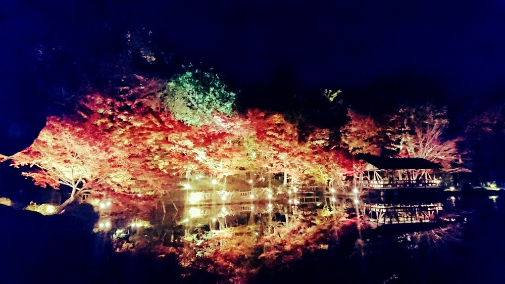 紅葉　ライトアップ　東山動植物園