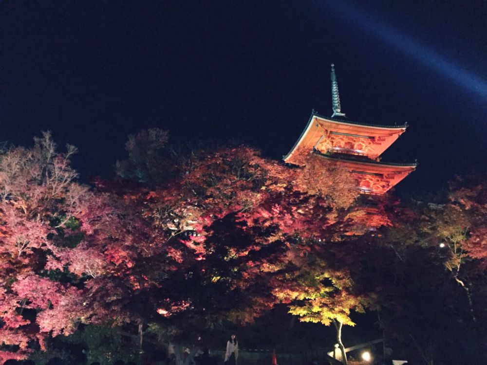 紅葉　ライトアップ　清水寺