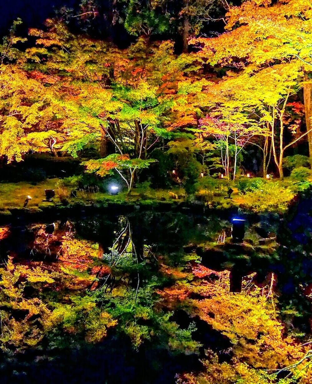 紅葉　ライトアップ　円通院