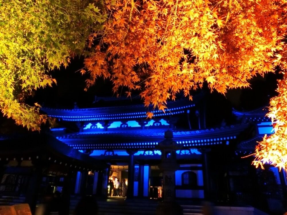 紅葉　ライトアップ　長谷寺