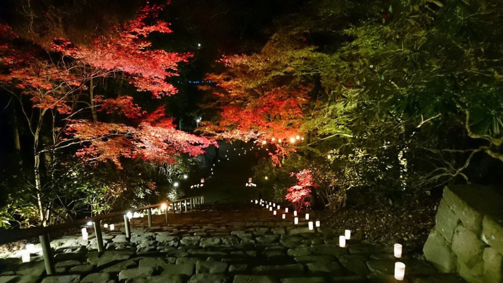 紅葉　ライトアップ　室生寺