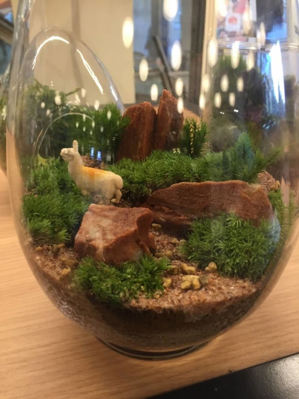 苔テラリウム　人形