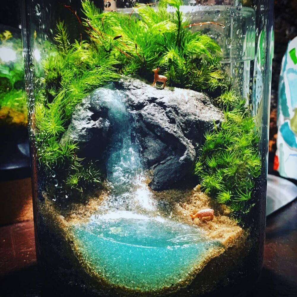 苔テラリウム　人形