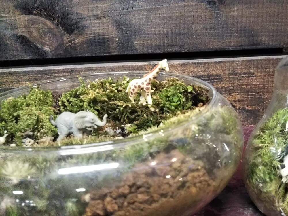 苔テラリウム　人形